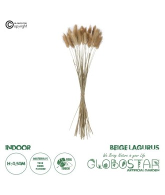 GloboStar® Artificial Garden REAL DRIED BEIGE WHEAT BUNCH  21219 Αποξηραμένο Διακοσμητικό Μπουκέτο Σιταριού Y50cm - Σετ 30 τμχ